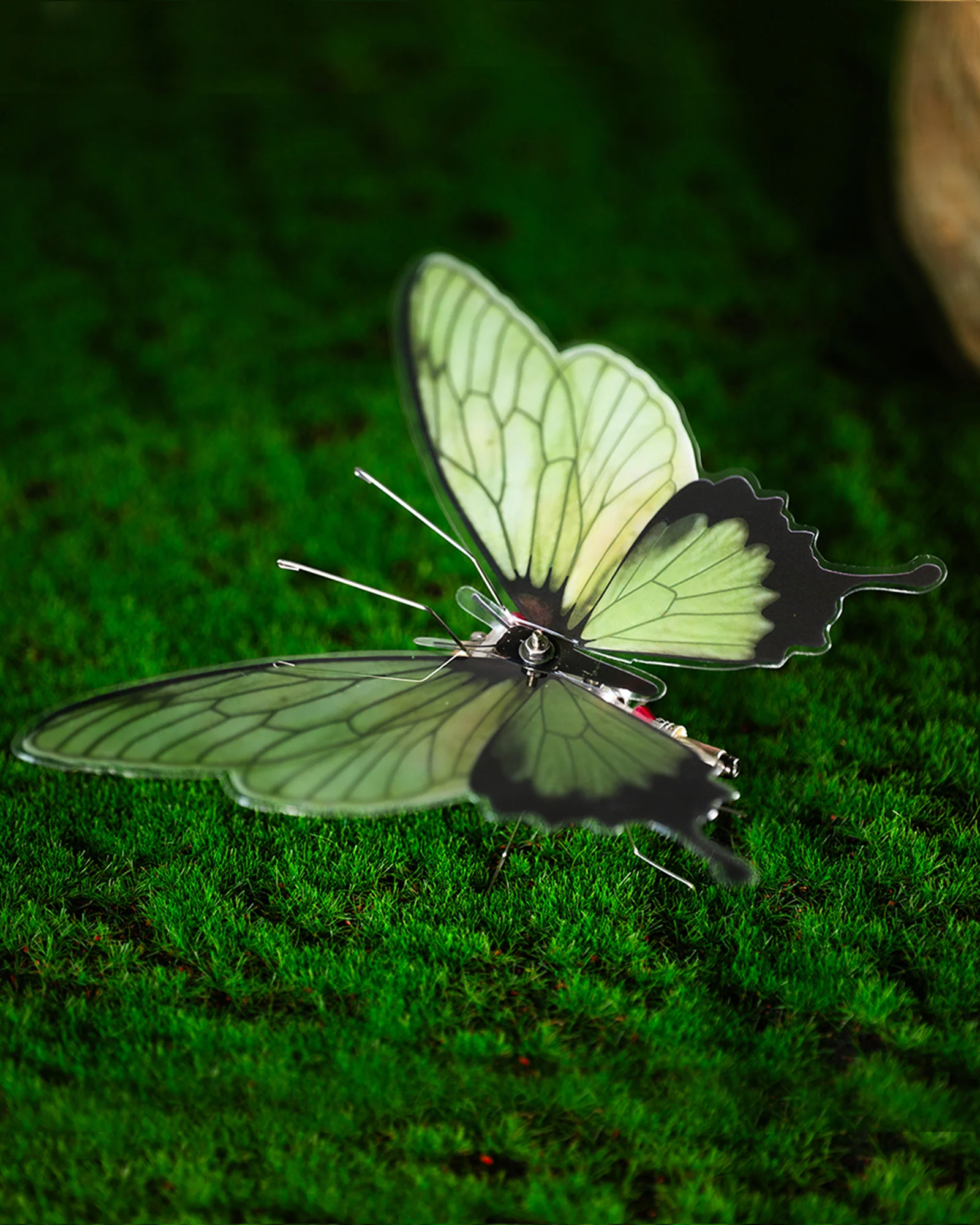 Vivillon by Mostarle - Image 22