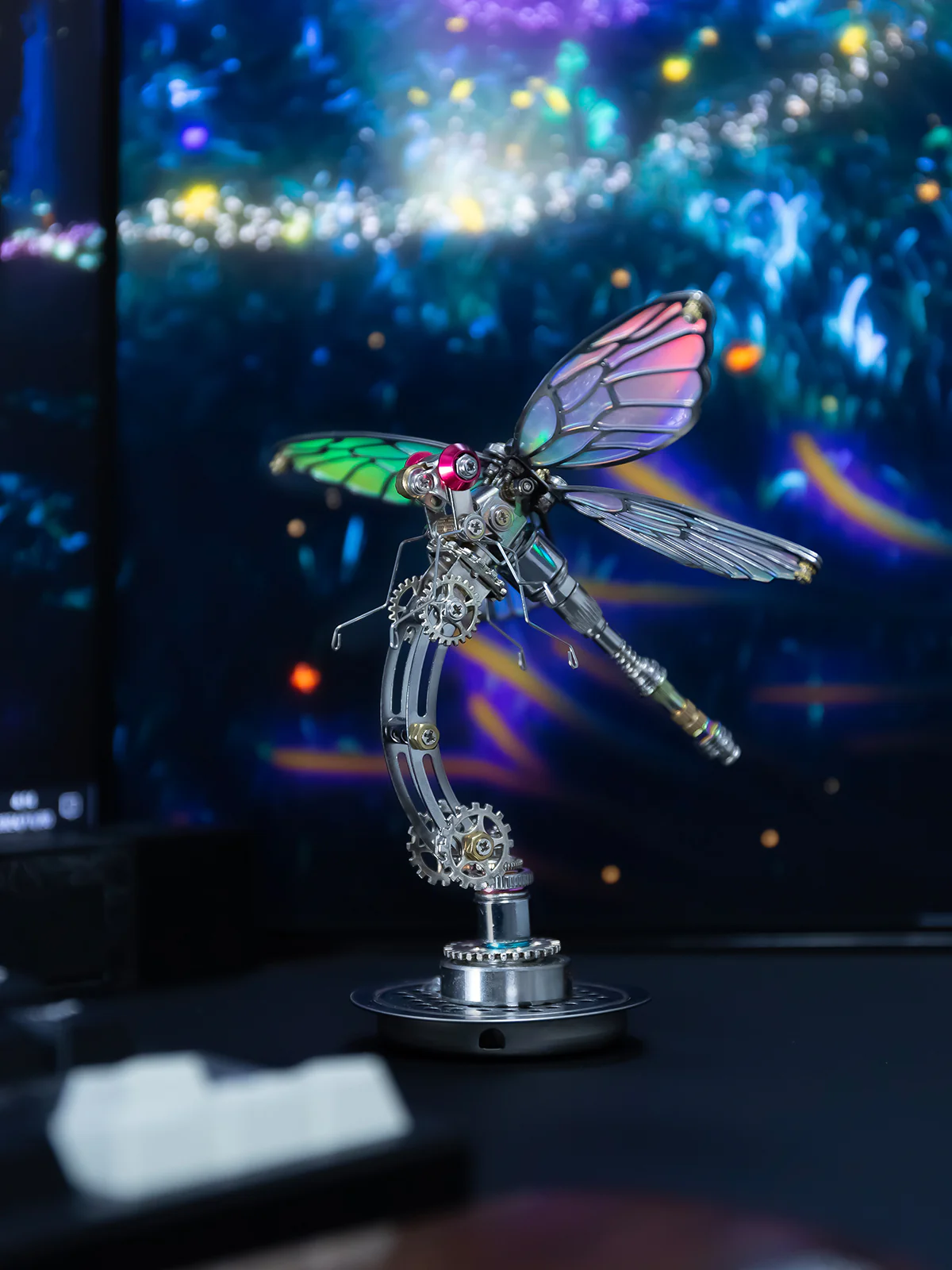 Dragonfly - Image 4