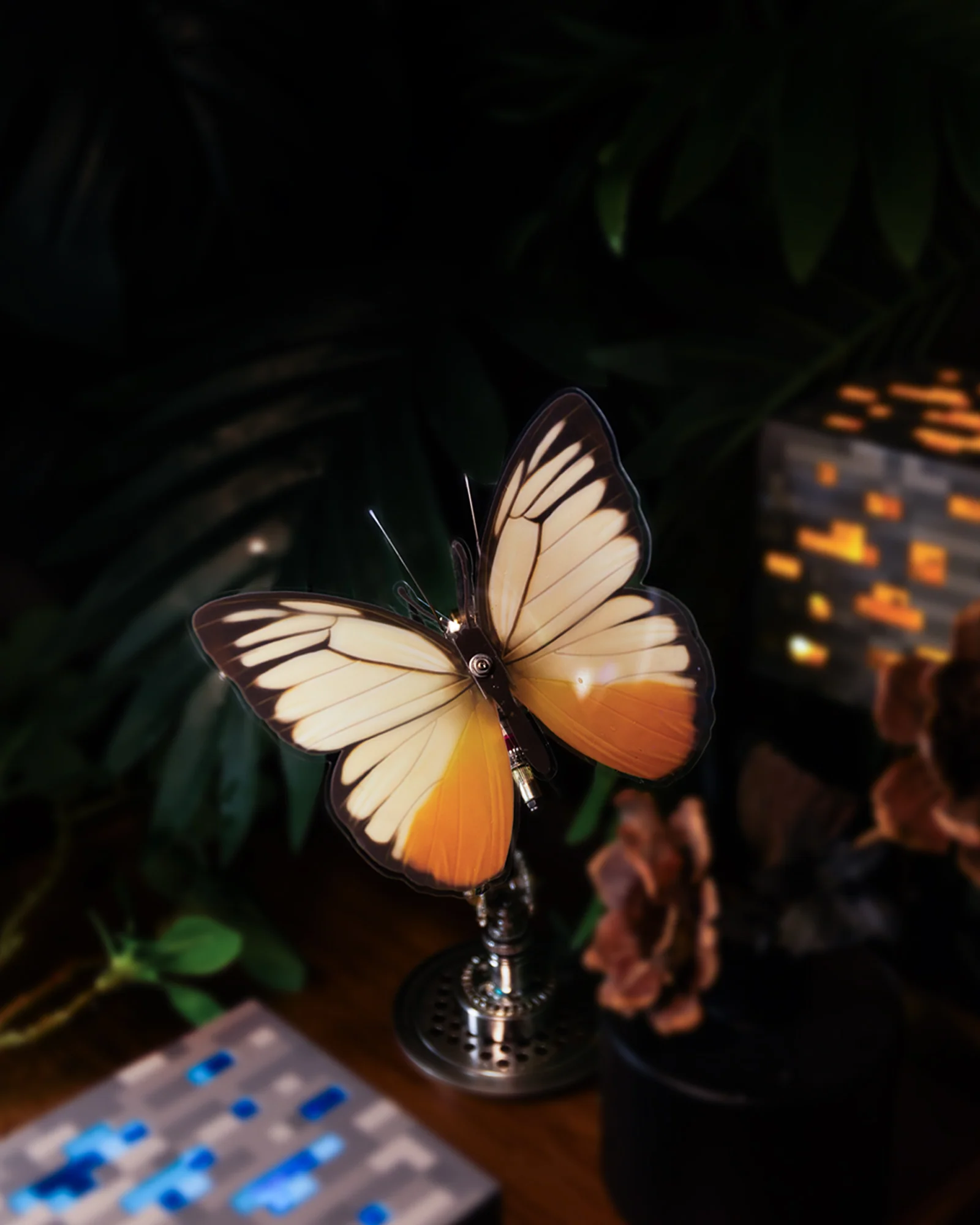 Vivillon by Mostarle - Image 9